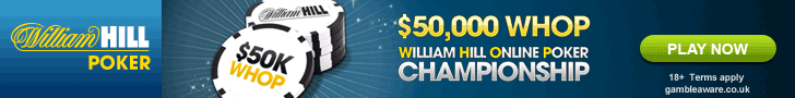 Play Online Poker